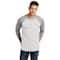 Next Level Unisex Tri-Blend 3/4-Sleeve Raglan T-Shirt